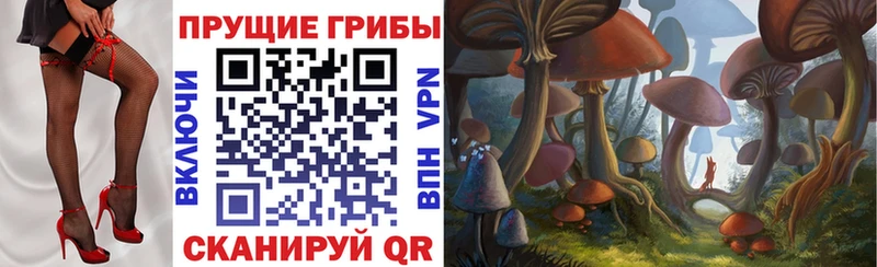 Псилоцибиновые грибы Psilocybine cubensis  Купить где  Рыбинск 